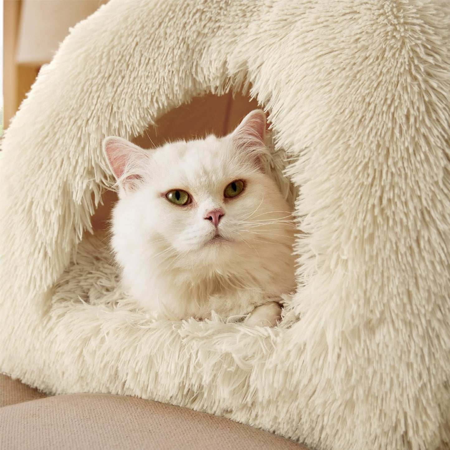 Bedsure Cat Beds for Indoor - 2 in 1 Cat Cave House Tent for Kittens and Small Pets with Removable Washable Cushioned Pillow, Foldable Kitten Hideaway with Non-Slip Bottom, Plush Beige, 16 inches